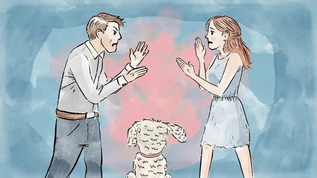 Что такое медиация и как она помогает?